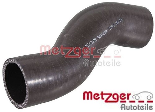 Metzger 2401209