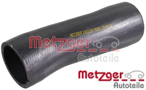 Metzger 2401238